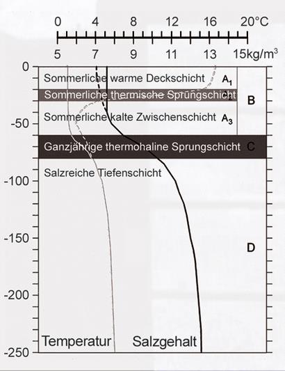 Salzgehalt - Ostsee der Zukunft Salzgehalt - Ostsee der Zukunft